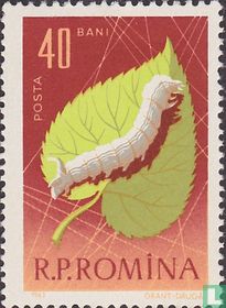 Insects