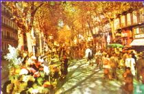 La Rambla de la Flores  BloemenMarkt  Las Ramblas 