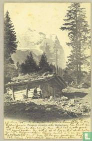 Paysage alpestre et le Wetterhorn