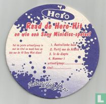 34)Raad de Hero-hit