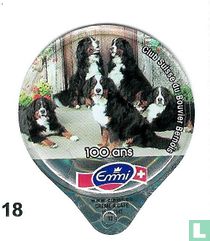 Schw.Clup für Berner Sennenhunde    
