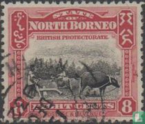 Plowing Malaysian