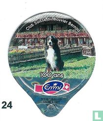 Schw.Clup für Berner Sennenhunde  