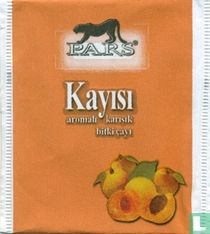 Kayisi