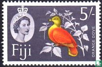 Orange Fruit Dove