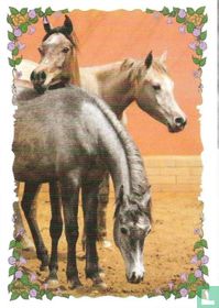 Paarden  