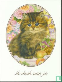 Dieren: Katten (26DH2-H1)