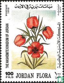 Jordanian flora