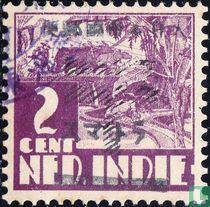 Occupation hollandaise de Indie-japonais