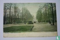 Allee centrale du Parc