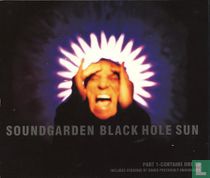 Black Hole Sun