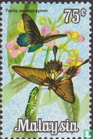 Papillons