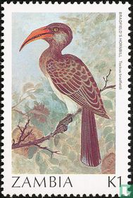 Oiseaux