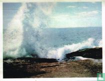 De kust van Acadie