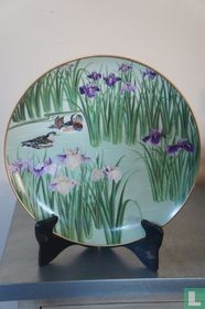 Mandarin Duck and Iris