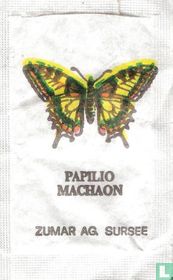 Papilio Machaon - Vanessa IO