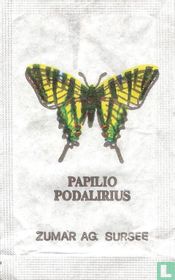 Papilio Podalirius - Argynnis Paphia