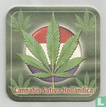 Cannabis Sativa Hollandica