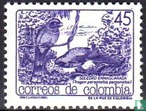 Animaux indigènes