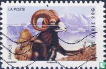 Holiday - capricorn in the mountains