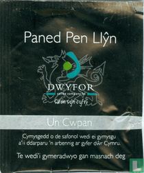 Paned Pen Llyn