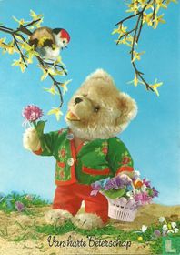 Van harte Beterschap - Teddybeer