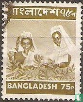Images of Bangladesh