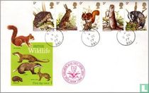 Wildlife
