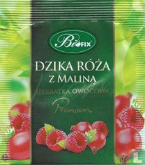 Dzika Róza z Malina