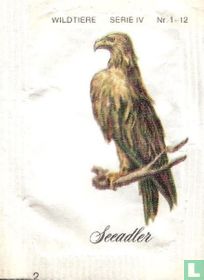 Seeadler