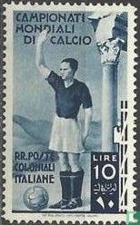 Wereldkampioenschap voetbal