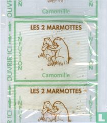 Camomille