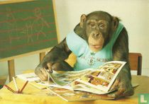 Aap op school, stripboek lezen (2115)
