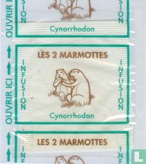 Cynorrhodon