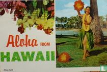 Aloha From Hawaii. Hula Maid. Beautiful Flowers and Bautiful Hula Girls. Synonymous in Hawaii