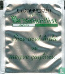 Civanperçemi 
