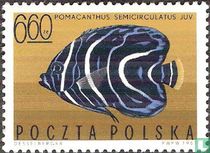 Exotische vissen