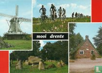 Mooi Drente 