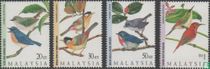 Birds of the Highlands