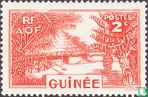 Village en Guinée acheter