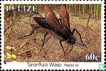 Insects
