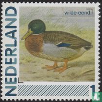 Mallard