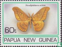 Moths  
