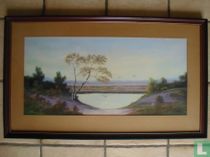 Paysage de dunes 