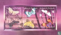 Papillons de nuit