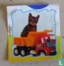 Kat in speelgoed dumptruck