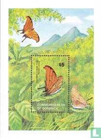 Papillons  acheter