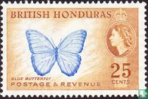 Blauer Schmetterling kaufen