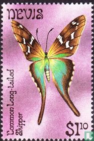 Butterflies 