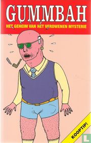 Het geheim van het verdwenen mysterie